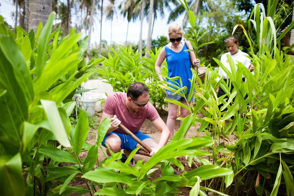 Chantaramas Beach Resort Koh Phangan Baan Khai Ngoại thất bức ảnh